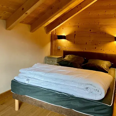 Duplex Lumineux Pour 6 Pers A 250m Des Pistes, Animaux Admis Apartment *