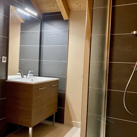 Duplex Lumineux Pour 6 Pers A 250m Des Pistes, Animaux Admis Les Deux Alpes