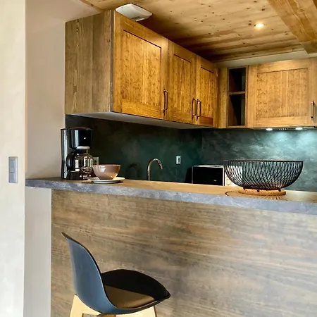 Duplex Lumineux Pour 6 Pers A 250m Des Pistes, Animaux Admis Les Deux Alpes