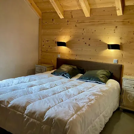 Duplex Lumineux Pour 6 Pers A 250m Des Pistes, Animaux Admis * Les Deux Alpes