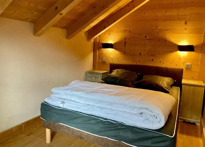 Duplex Lumineux Pour 6 Pers A 250m Des Pistes, Animaux Admis - Fr-1-811-11 Apartment *