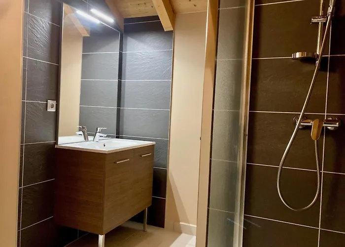 Duplex Lumineux Pour 6 Pers A 250m Des Pistes, Animaux Admis - Fr-1-811-11 Les Deux Alpes