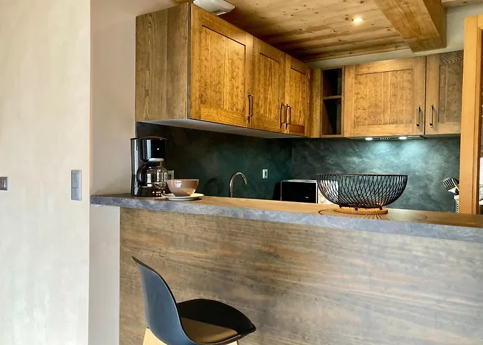 Duplex Lumineux Pour 6 Pers A 250m Des Pistes, Animaux Admis - Fr-1-811-11 Les Deux Alpes